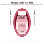 Tongue diagnosis organ map with tip at bottom